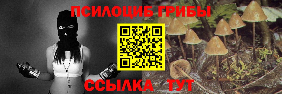 Псилоцибиновые грибы GOLDEN TEACHER Кузнецк